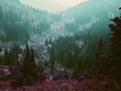 Vagus Nerve Breathing Meditation