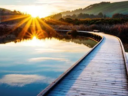 Vagus Nerve Mindful Yoga Flow