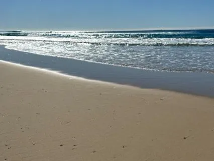 Vagus Nerve Reset: Calm Through Breath