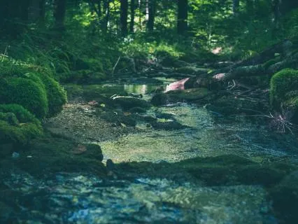 Vagus Nerve Reset With 432Hz + 4Hz Delta Binaural Beats