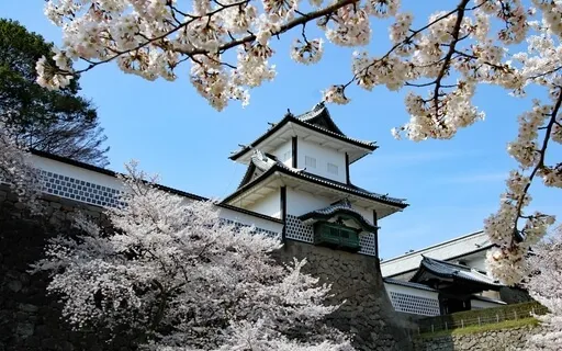 Vagus Nerve Soothing