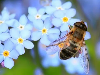 Vagus Nerve: The Yogic Tranquilizer