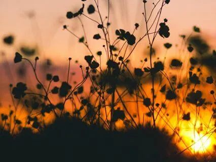 Vagus Nerve Breathing To Reduce Anxiety & Stress