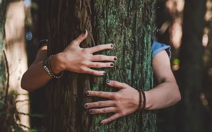 Väki In Finnish Mythology