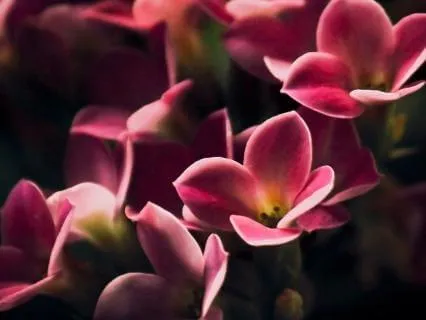 Valentine’s Day Self-Love Prayer