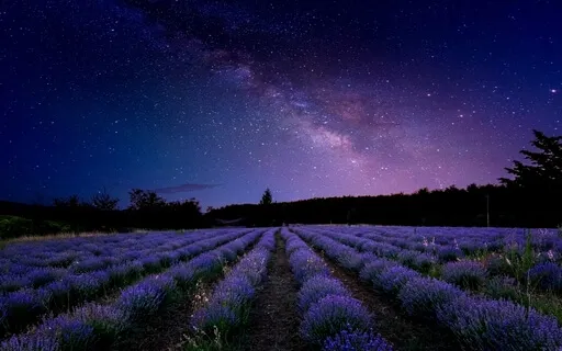 Valerian Lullaby (Piano)