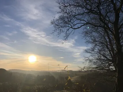 Valley At Dawn - Ethereal Harp From My New Countryside Home