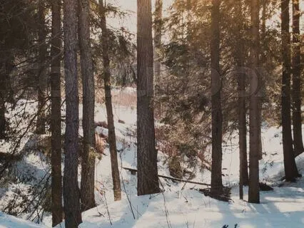 I Value Myself, Deep Transformative Self-Compassion Practice