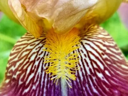 Valuing (The Sweet Spot)