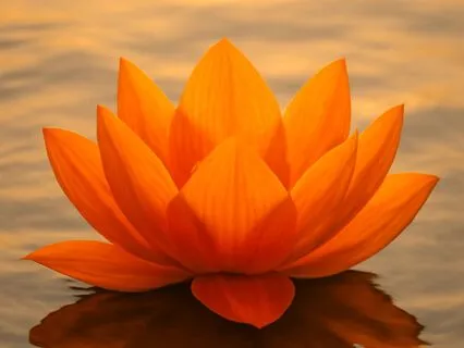 Vam – Unlocking Creativity And Joy Through Sound (Talk)