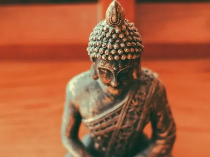 Vasanas - What Are They?