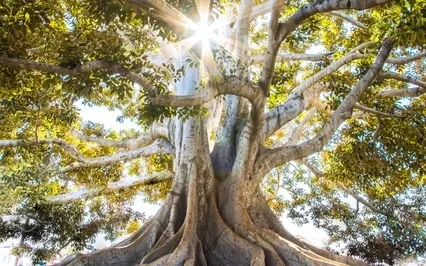 Vastness - 15 Min Sound Meditation