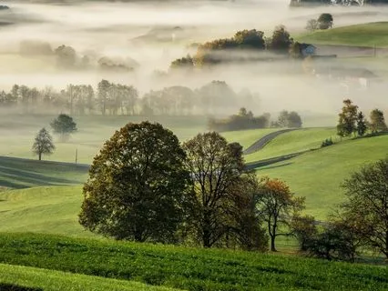 Vastness Within: Centering Music