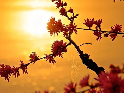 Vata (Short Version)