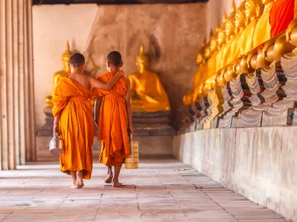 Vedana The 2nd Foundation of Mindfulness & Equanimity (Short Version)