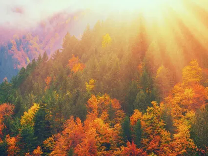 Vedic Chanting And Mantras