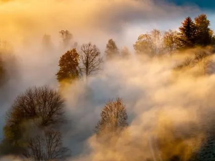 Veiled Dawn