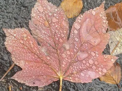 Veiledet Meditasjon Med Kort Kroppsskanning