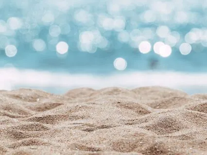 Veils Of Misty Canopy