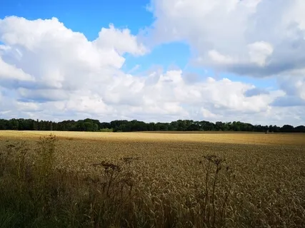 Velvære meditation