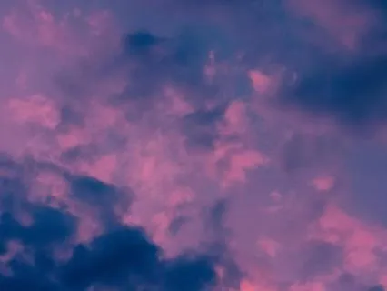 Velvet Dusk