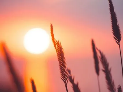 Velvet Evening – A Gentle Space For Heartfelt Calm