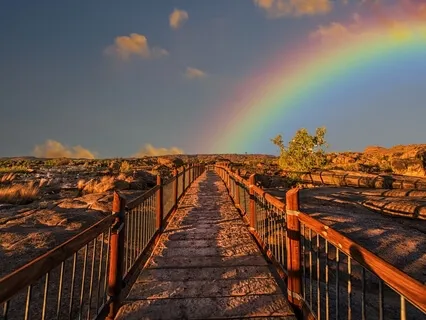 Veni Sancte Spiritus Instrumental