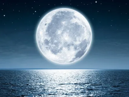 Venus & Taurus Max Meditation