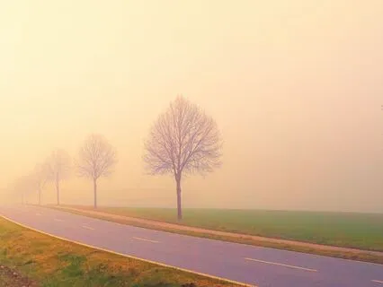 Venus Meditation: Awakening Love And Harmony