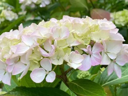 Venus: Wealth, Prosperity, & The Art Of Receiving