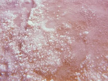 Venusian Energy Meditation