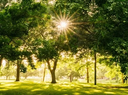 Verdugo Park Tongue Drum Vibes