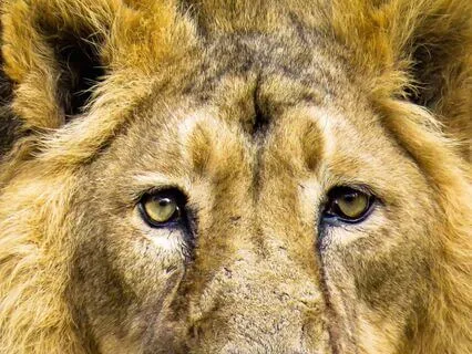 Veritas | Meditative Adventure | Vulcan Ep 1: Darkness