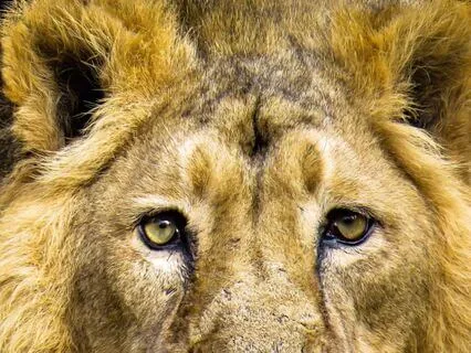 Veritas | Meditative Adventure | Vulcan Ep 3: Threads