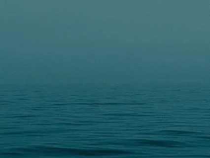 Veritas, Truth, Light, Love