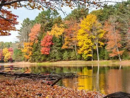 Vermont Fall Harvest And Herbal Baths