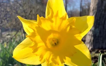 Vernal Equinox Meditation