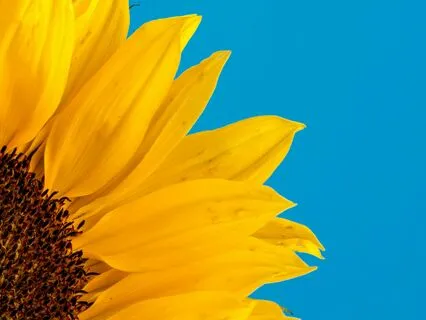 Very Short And Quiet Body Scan: Sitting And Breathing.