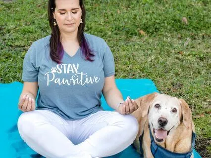 Vet MEDitation: Self-Compassion Break