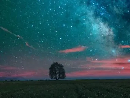 Veterans Nervous System Resilience: 90 Minute Yoga Nidra