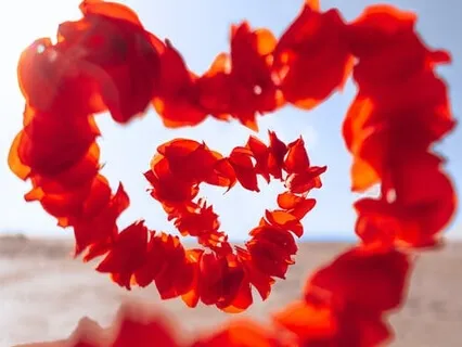 Viagem Xamânica - Cura Profunda dos Órgãos