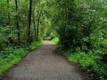 Inner Journey | Relaxing Piano Music