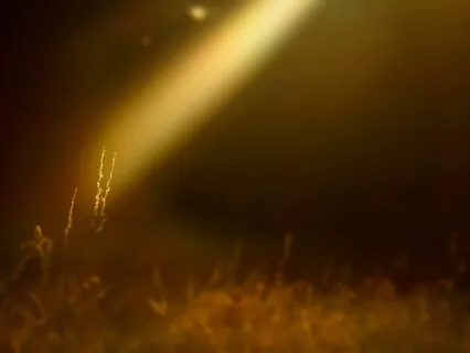 Vibrant Embodiment of Power Singing Yoga Nidra