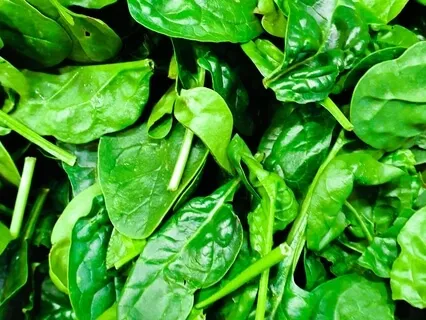 Vibrant Lives Podcast - Magnesium & Your Health