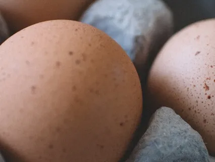 Vibrant Lives Podcast  - Protein And Ageing