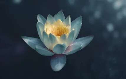 Vibrate As If It Already Is