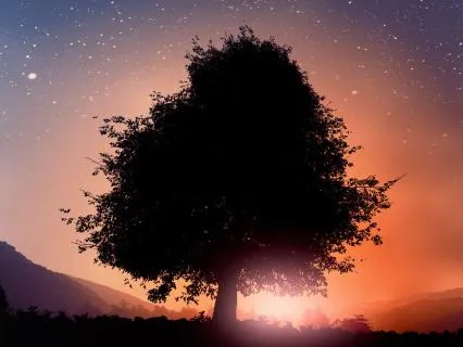 Vibrate On A High Frequency