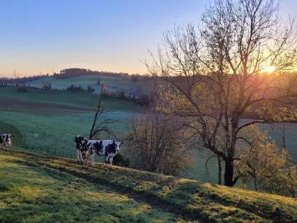 Vibration And Eternal Stillness