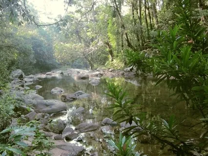 Vibration Up - Let's Create Our Happy!