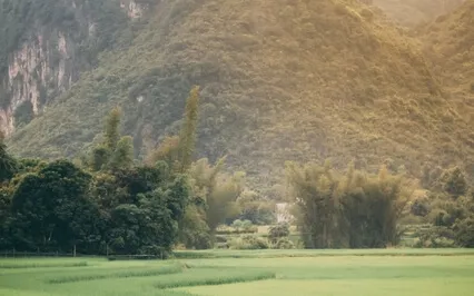 Quick Love & Kindness Breathwork